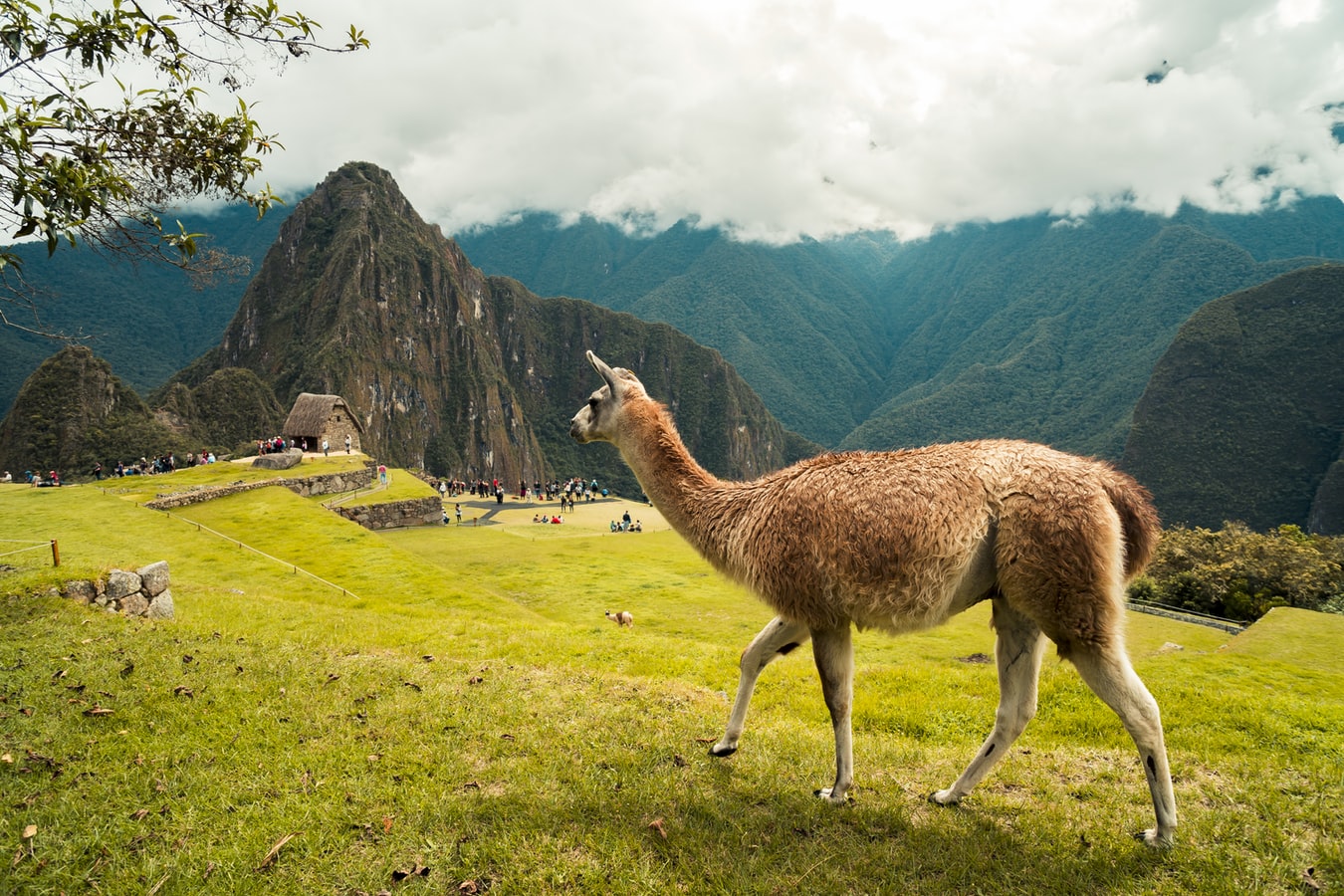 Voyage au Pérou 